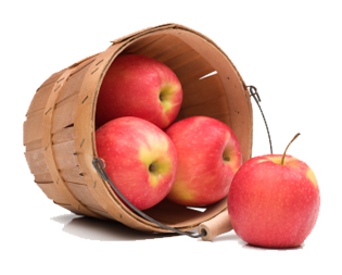 Apple Fruit Transparent PNG Image