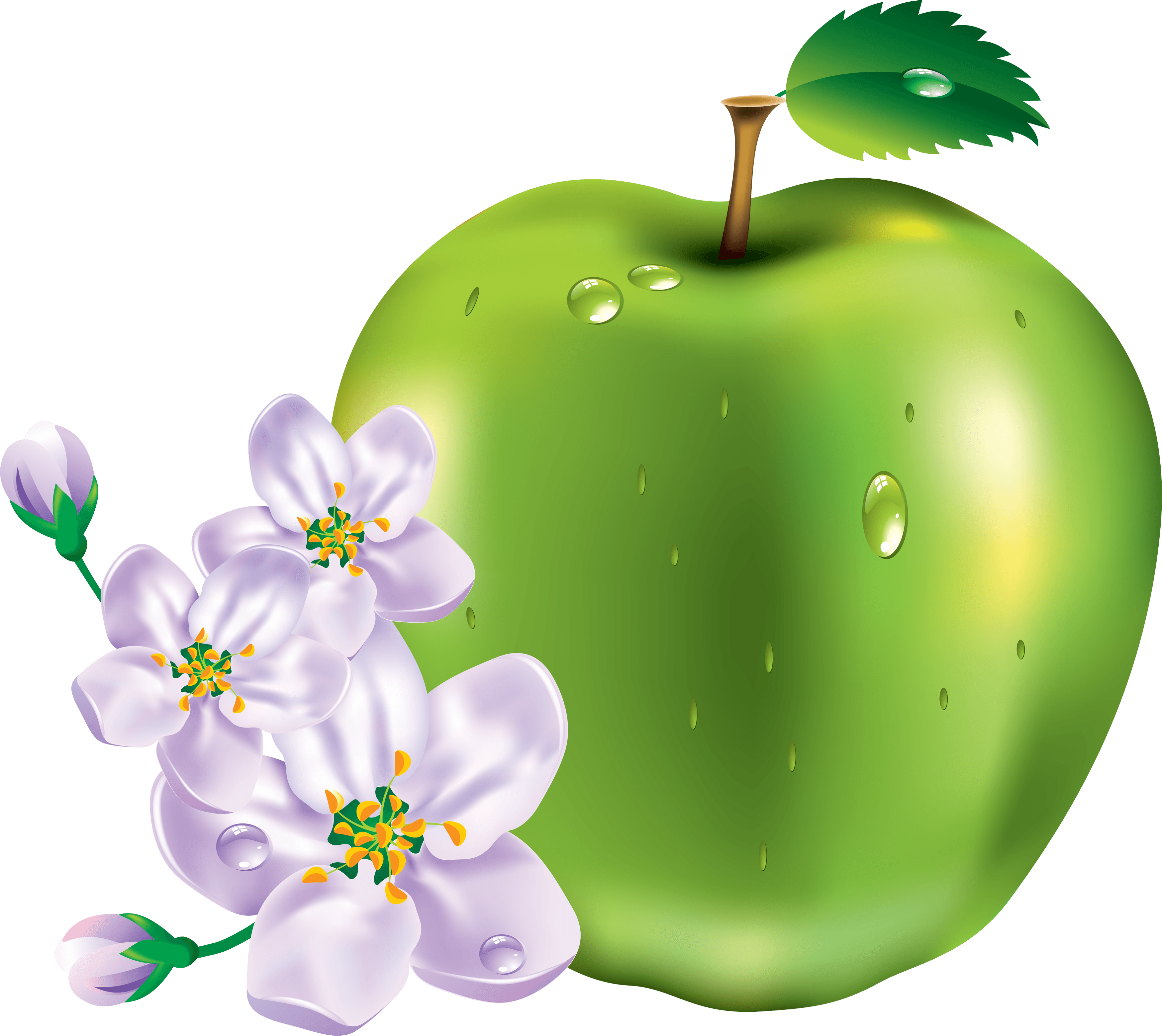 Green Apple Transparent PNG Image