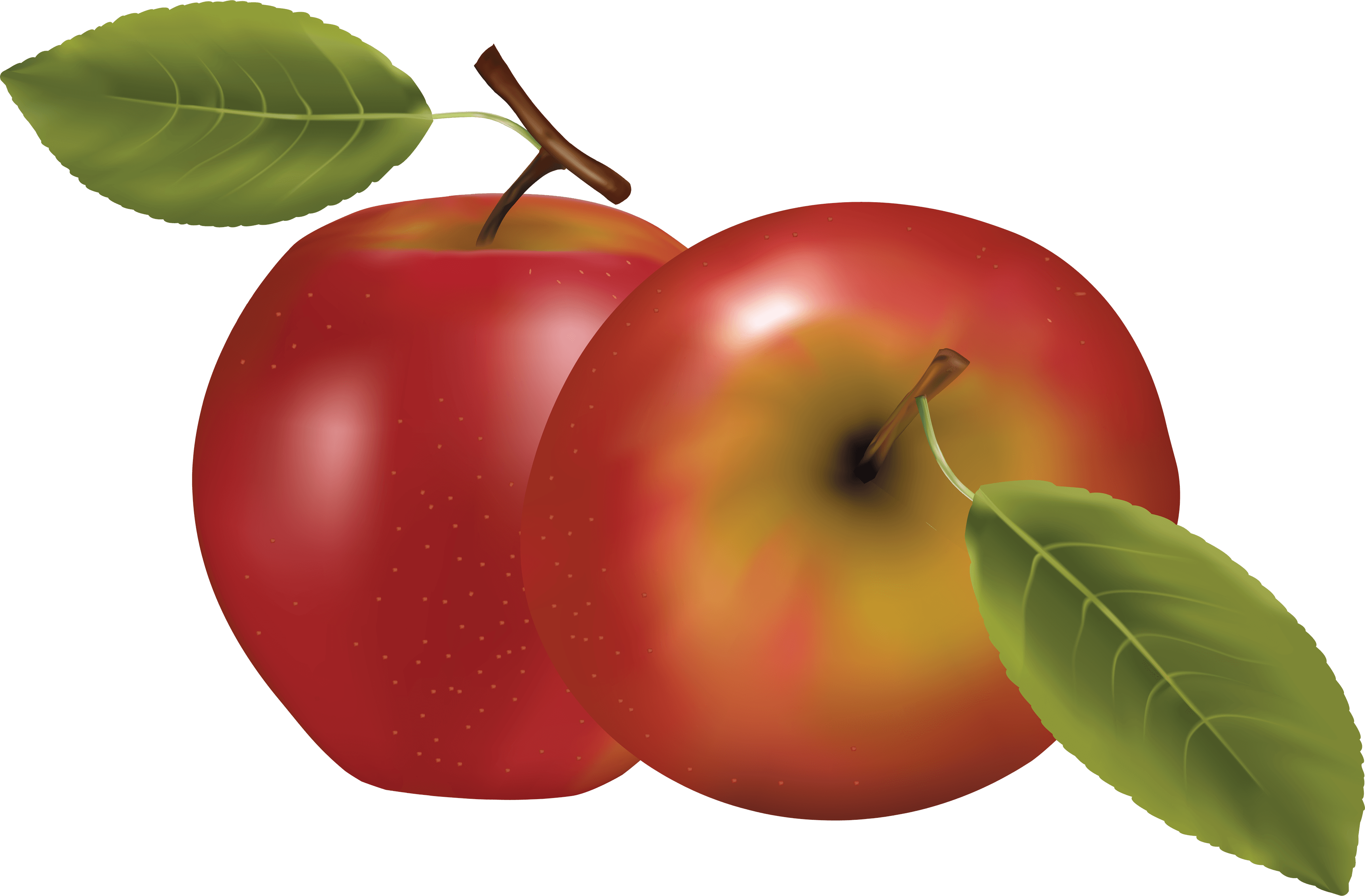 Red Apple Transparent PNG Image