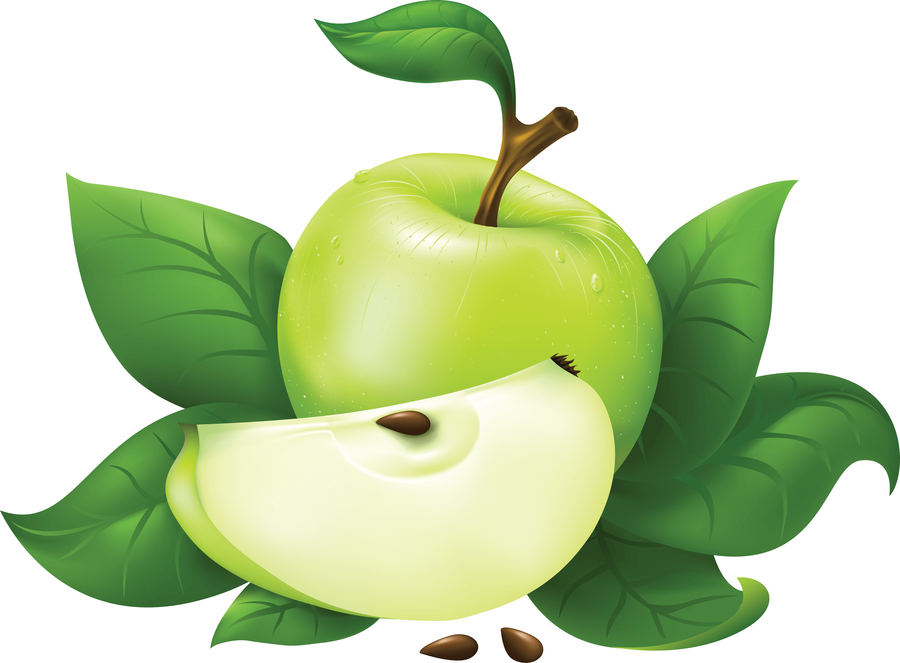 Green Apple Transparent PNG Image