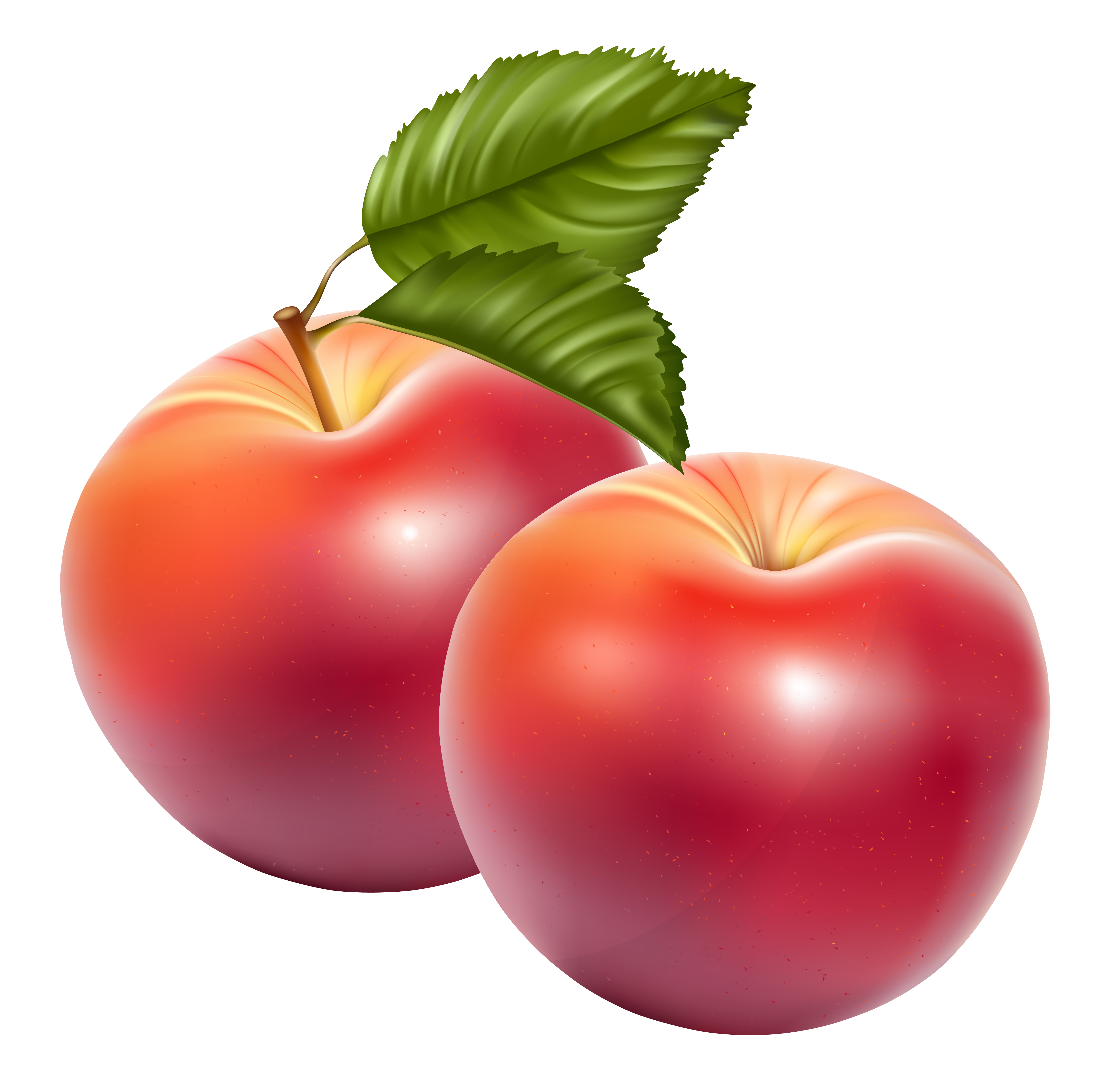Apple Fruit Transparent PNG Image