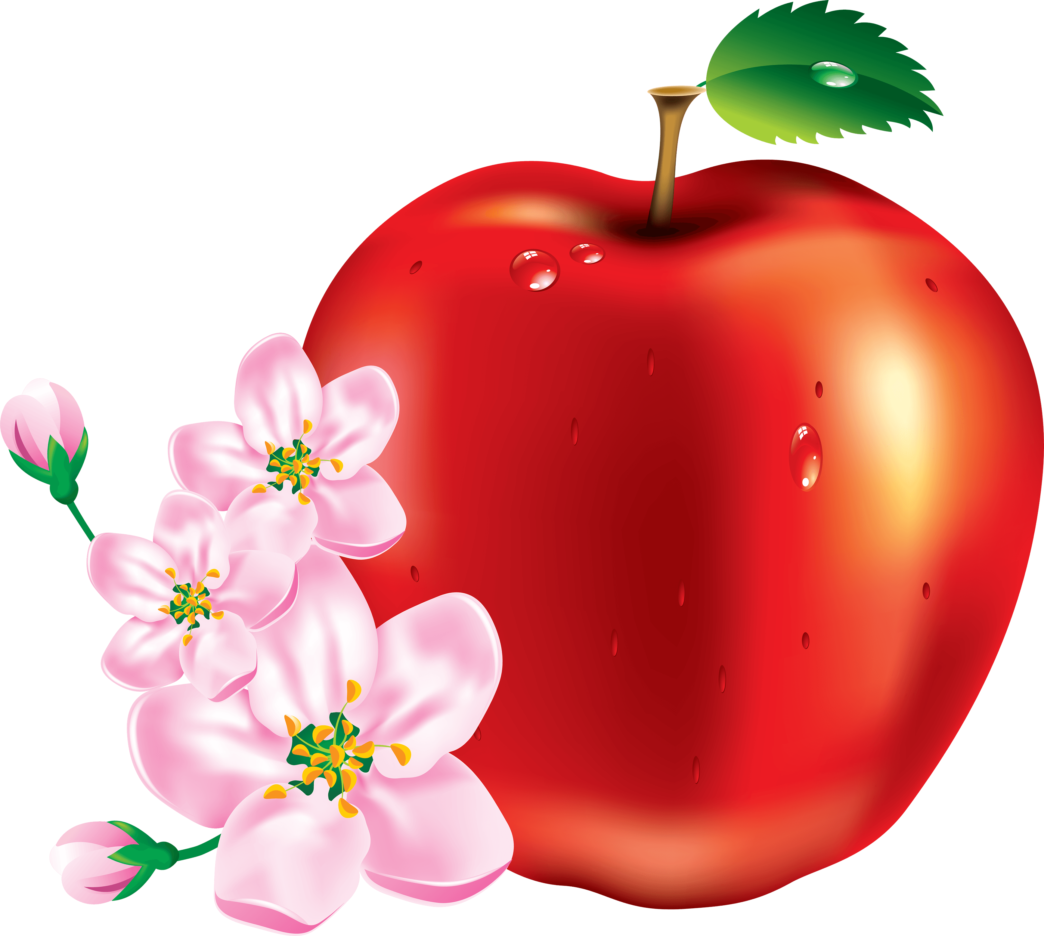 Red Apple Transparent PNG Image