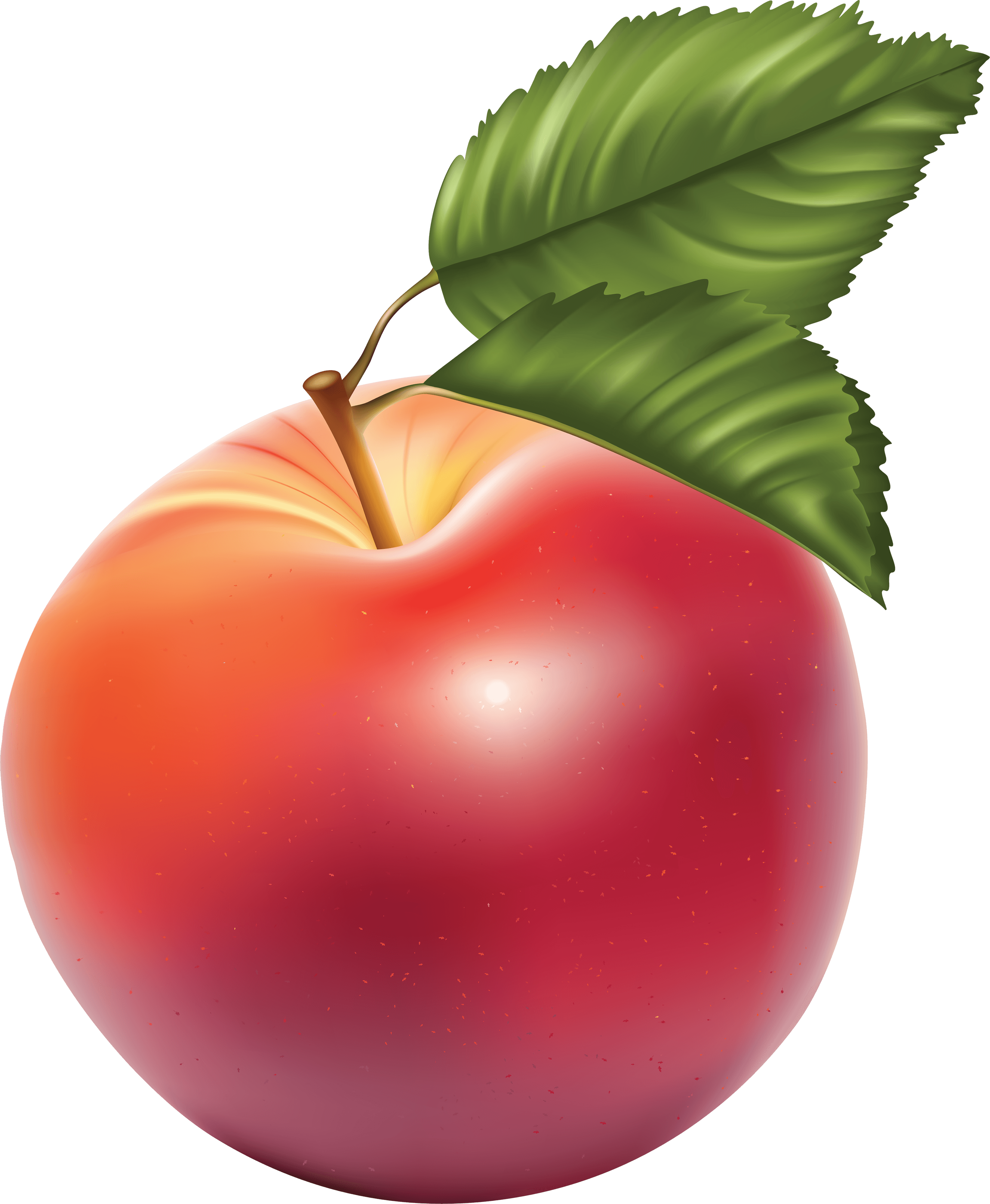 Png Apple Apple Transparent PNG Image