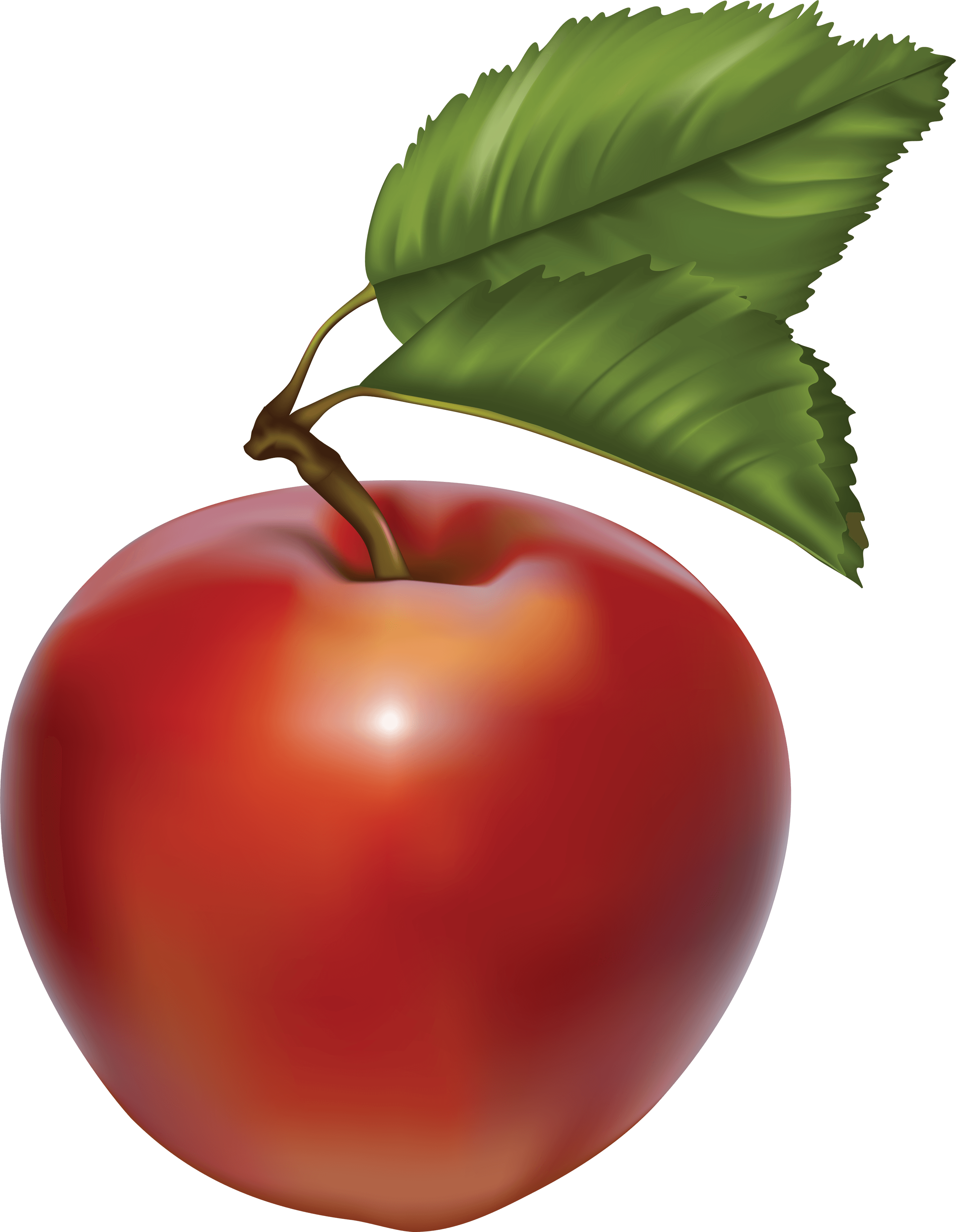 Green Apple Transparent PNG Image