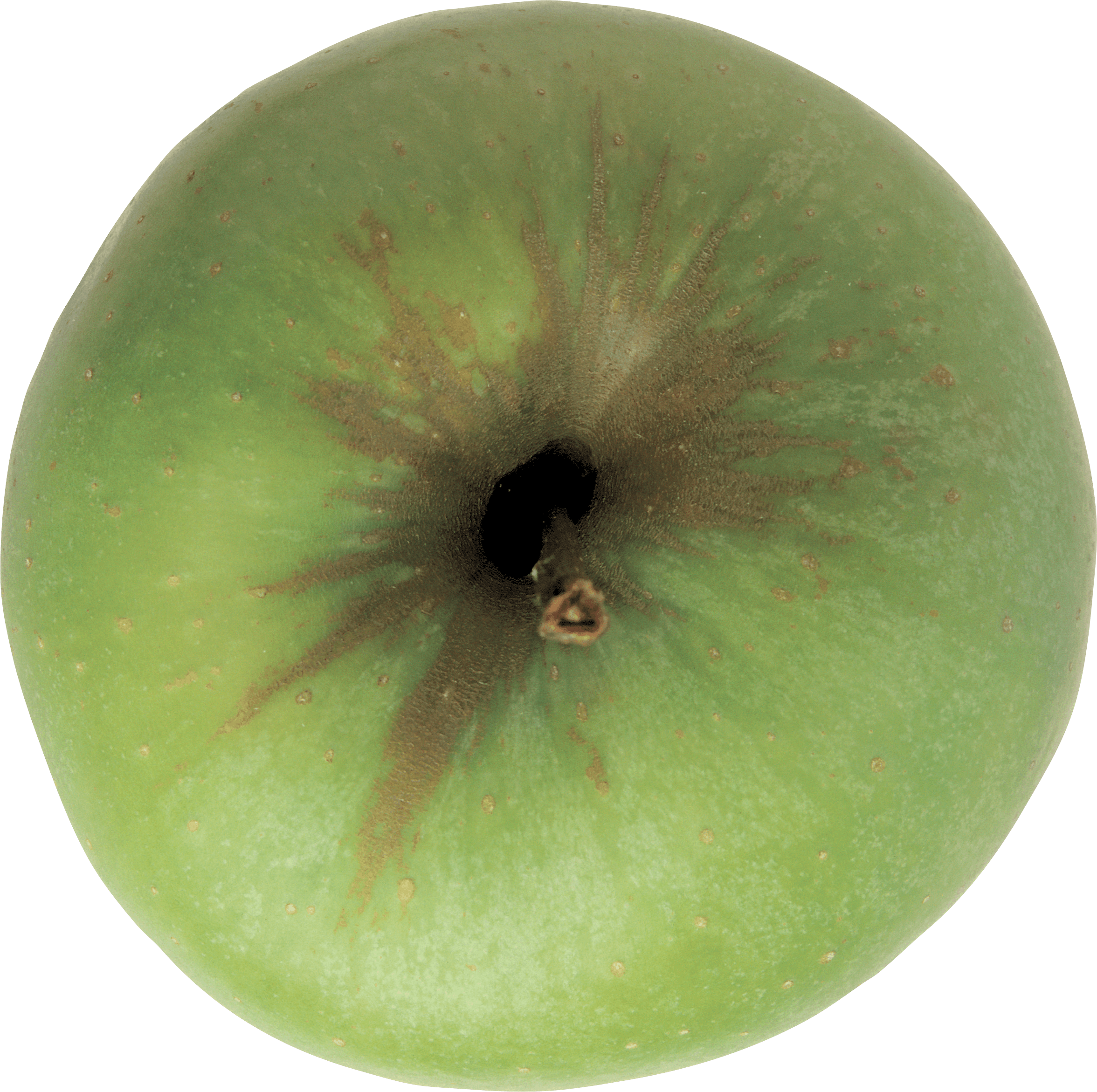 Green Apple Transparent PNG Image