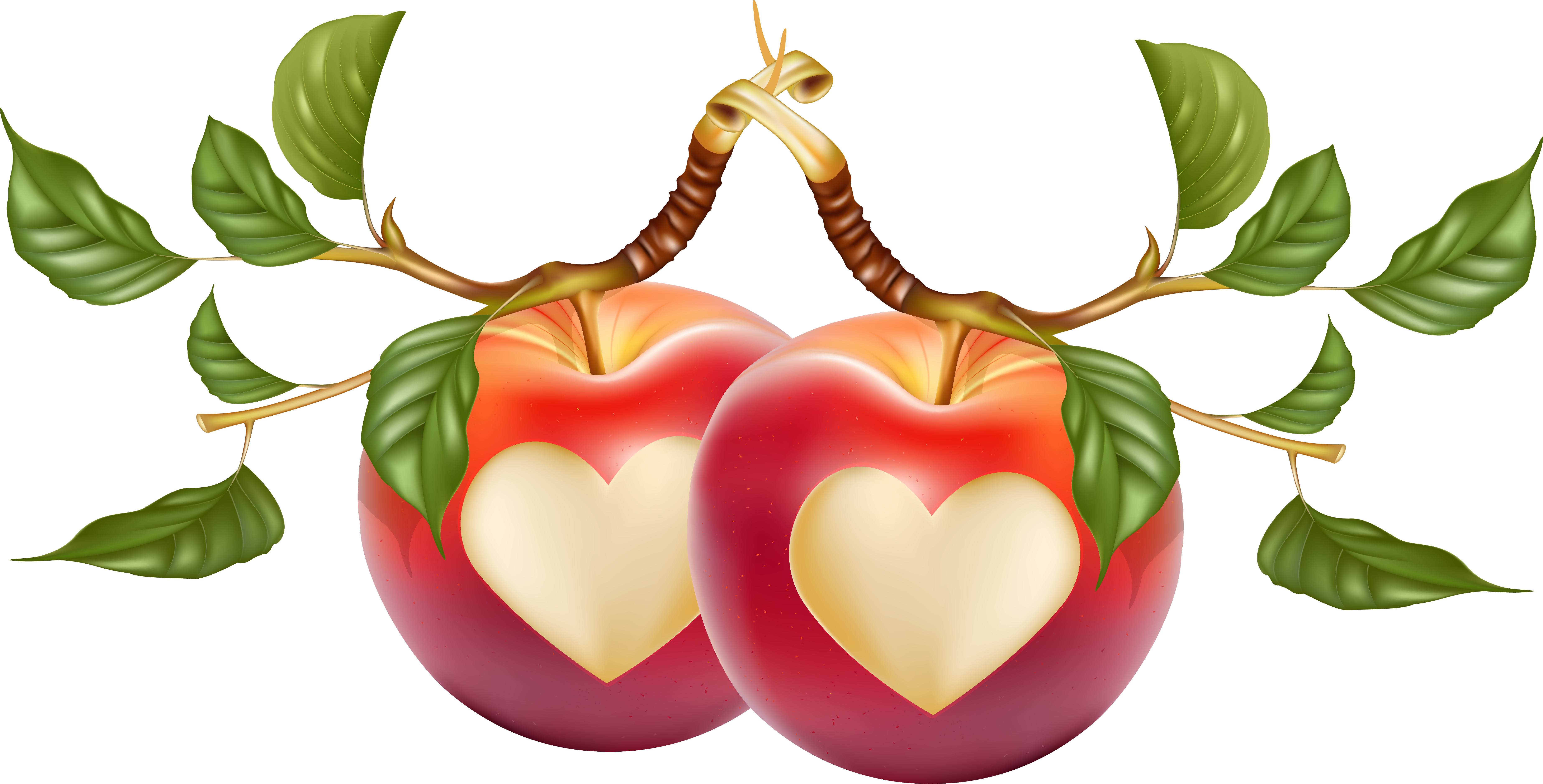 Vector Heart-Shaped Apple Transparent PNG Image