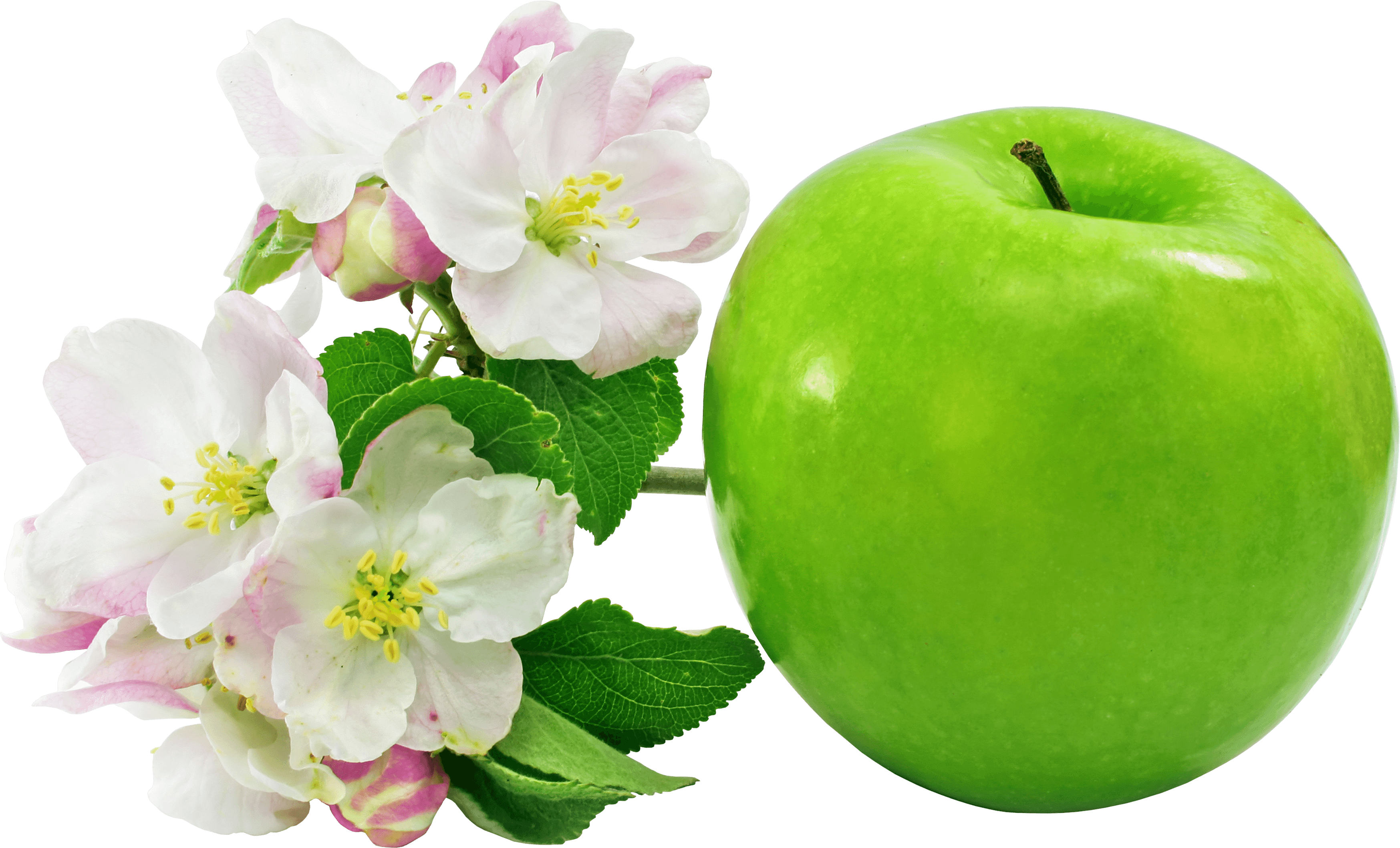 Green Apple Transparent PNG Image
