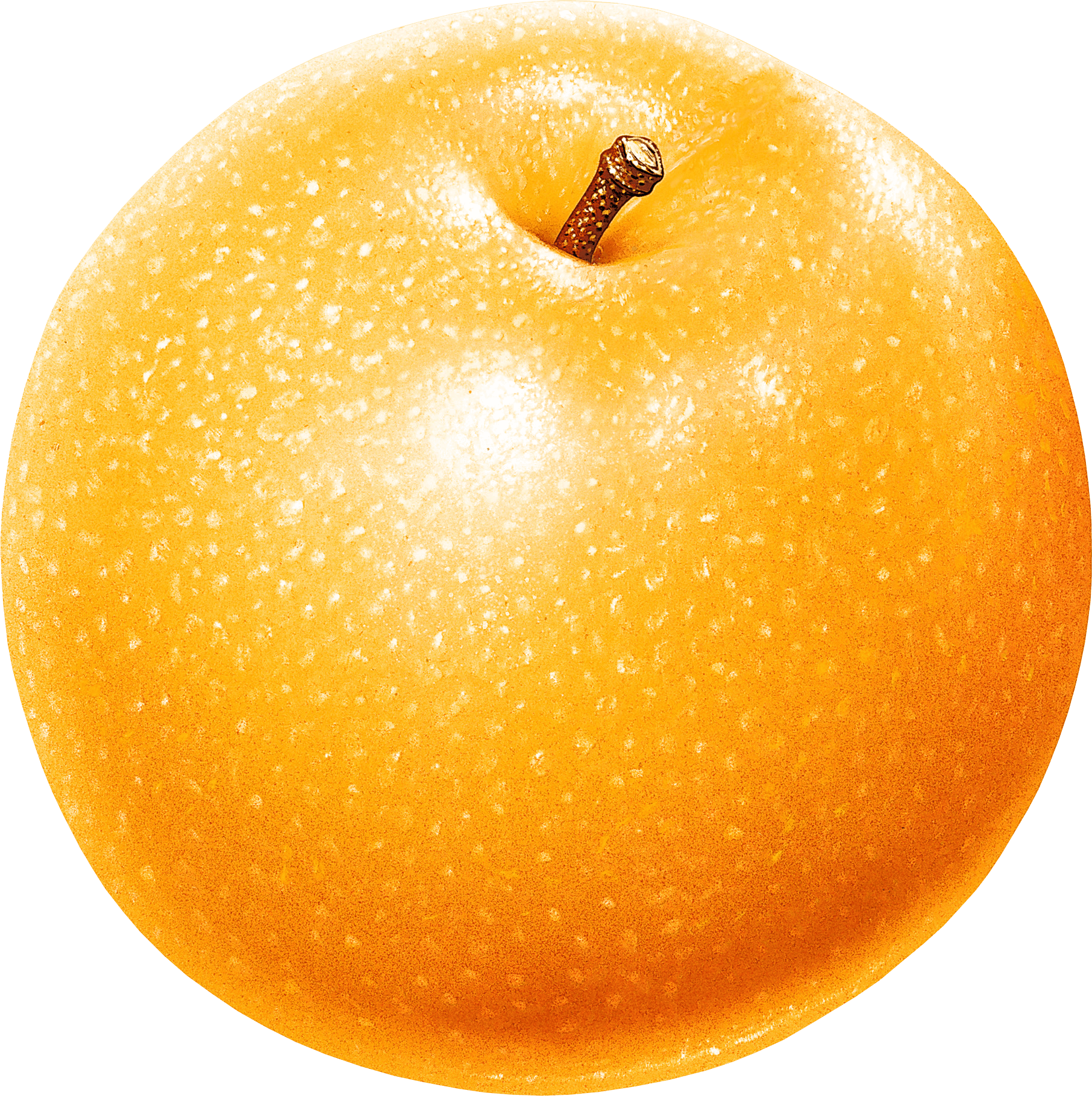 Red Apple Transparent PNG Image