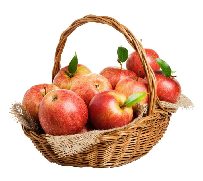 Of graphy Apples Basket The With Filled Transparent PNG Image