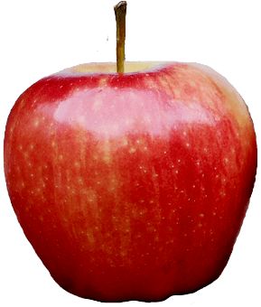 Png Apple Apple Transparent PNG Image