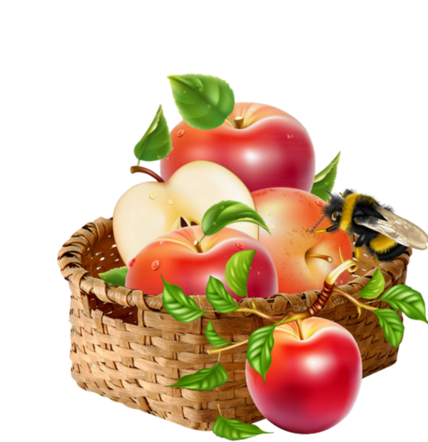 Basket Apple Transparent PNG Image