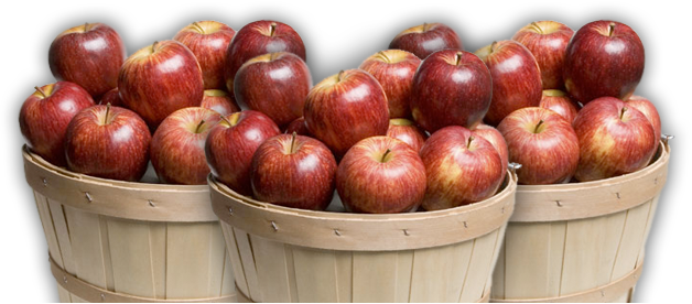 Basket Apple Transparent PNG Image