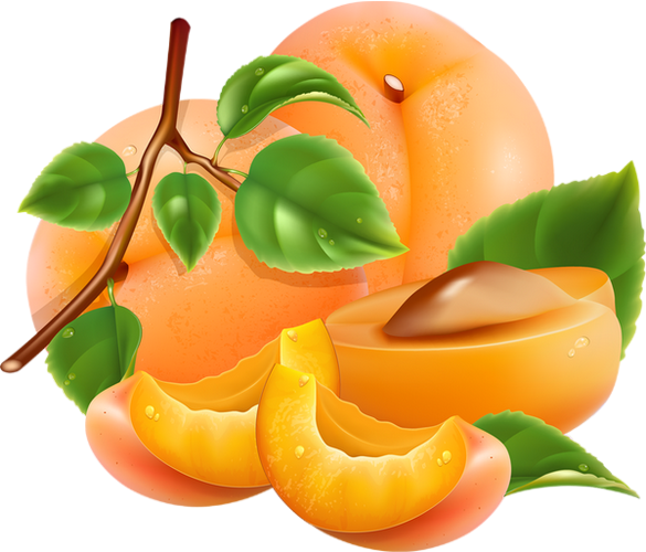 Apricot Up Close Transparent PNG Image
