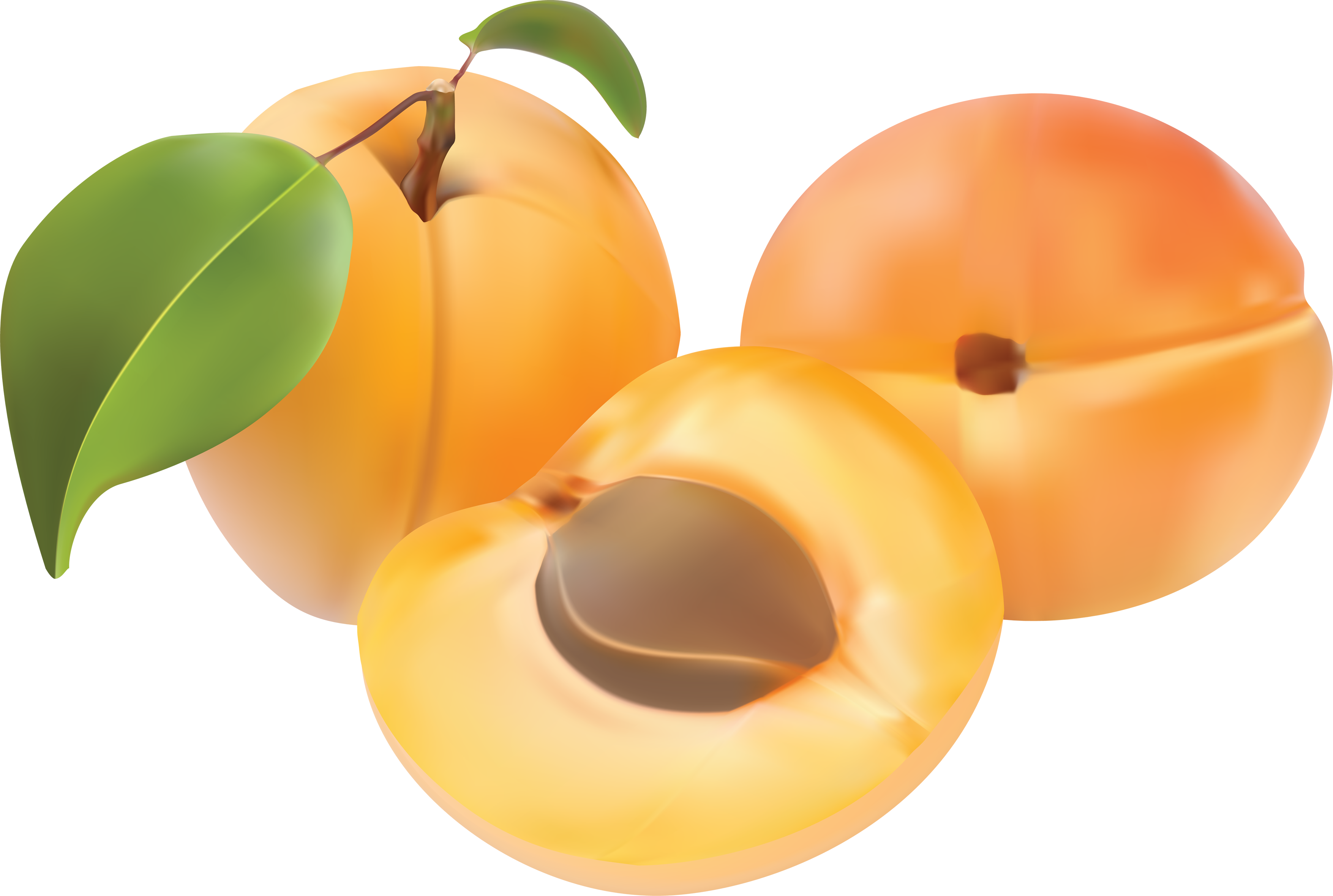 Apricot Up Close File Transparent PNG Image
