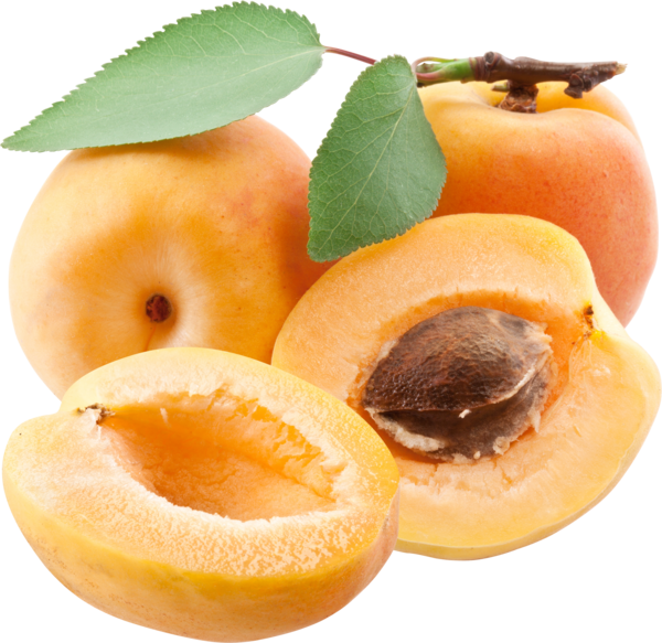 Apricot Up Close Transparent PNG Image