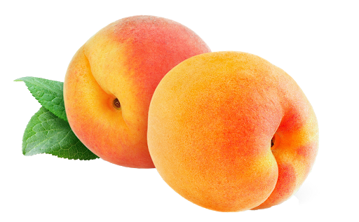 Apricot Fruit Transparent PNG Image