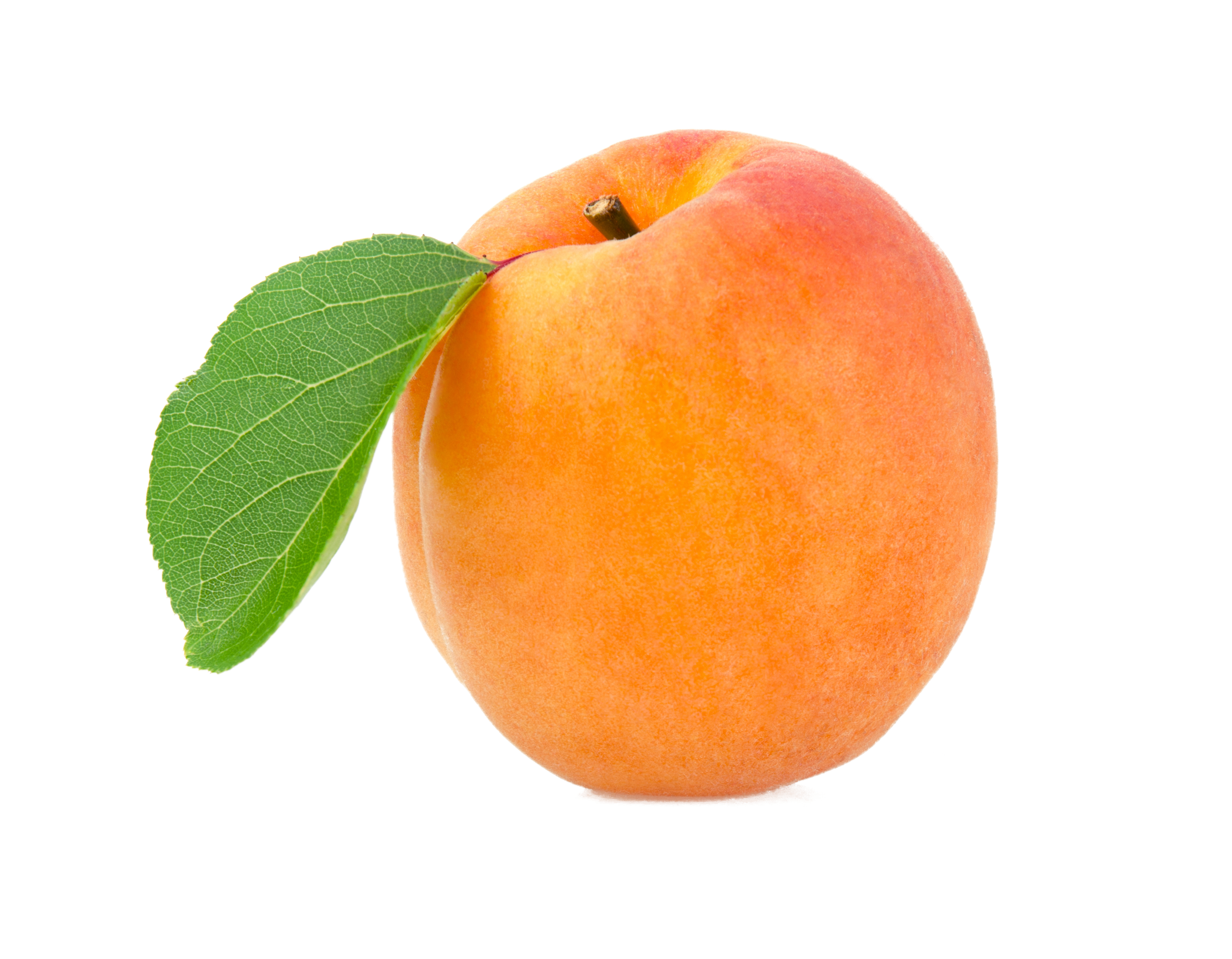 Apricot Fruit Transparent PNG Image