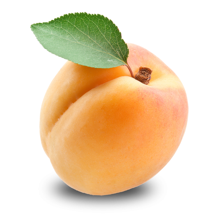 Apricot Fruit Transparent PNG Image