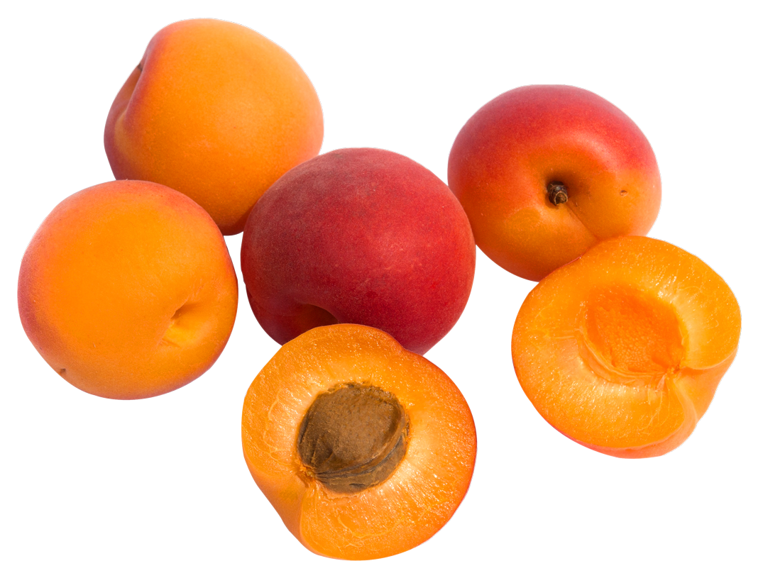 Apricot Fruit Transparent PNG Image