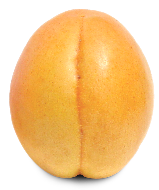 Apricot Fruit Transparent PNG Image