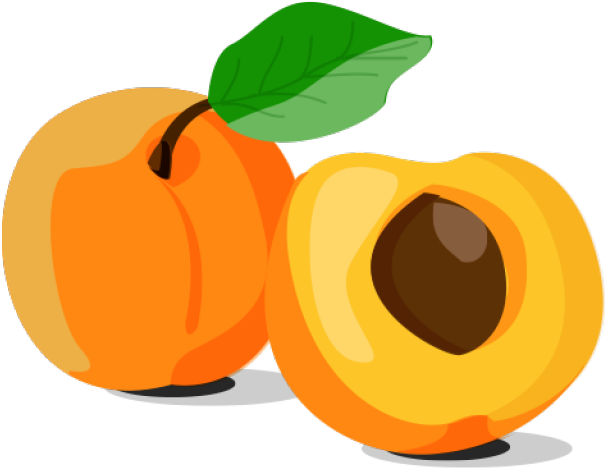 Apricot Fruit Slice Transparent PNG Image