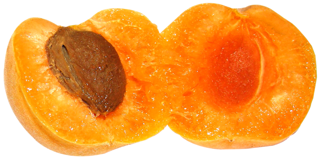 Apricot Fruit Slice Transparent PNG Image