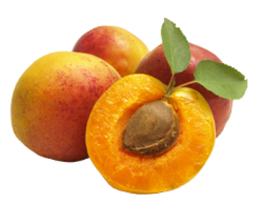 Apricot Fruit Slice Transparent PNG Image