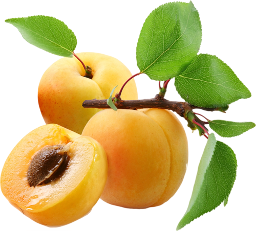 Apricot Fruit Slice Transparent PNG Image
