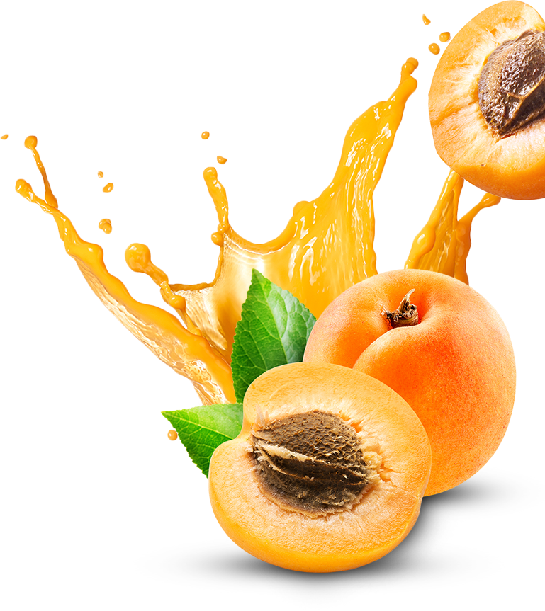 Apricot Fruit Slice Transparent PNG Image