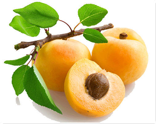 Apricot Fruit Slice Transparent PNG Image