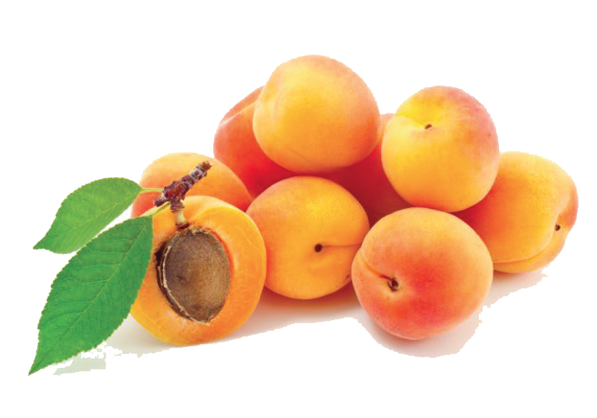 Apricot Transparent PNG Image