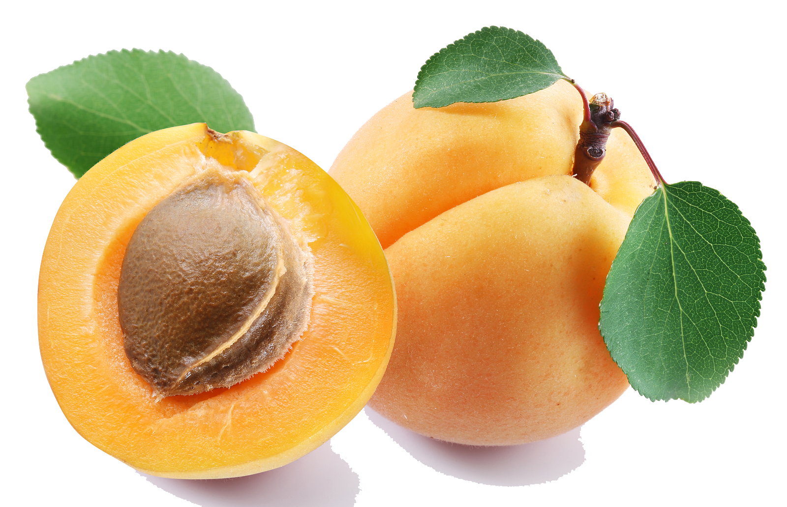 Apricot Transparent PNG Image