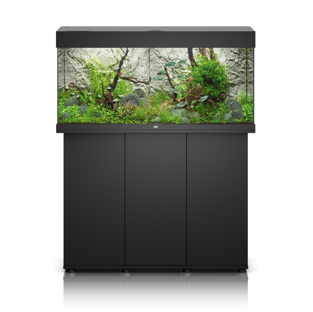 Fish Tank Aquarium Transparent PNG Image