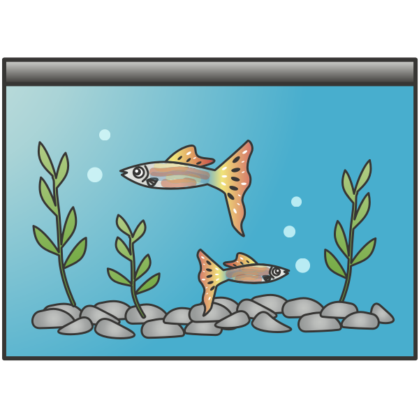 Fish Tank Aquarium Transparent PNG Image