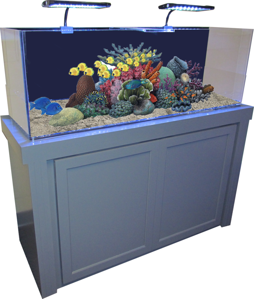 Fish Tank Aquarium Transparent PNG Image