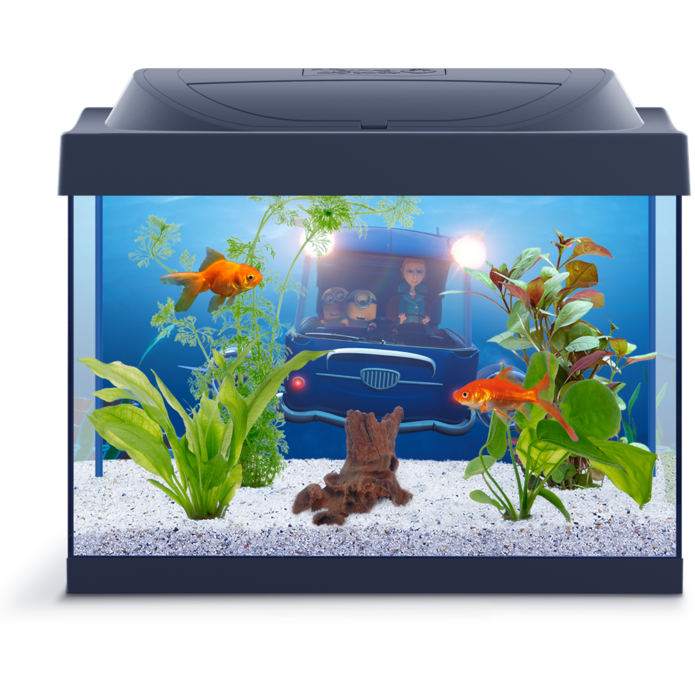 Fish Tank Aquarium Transparent PNG Image