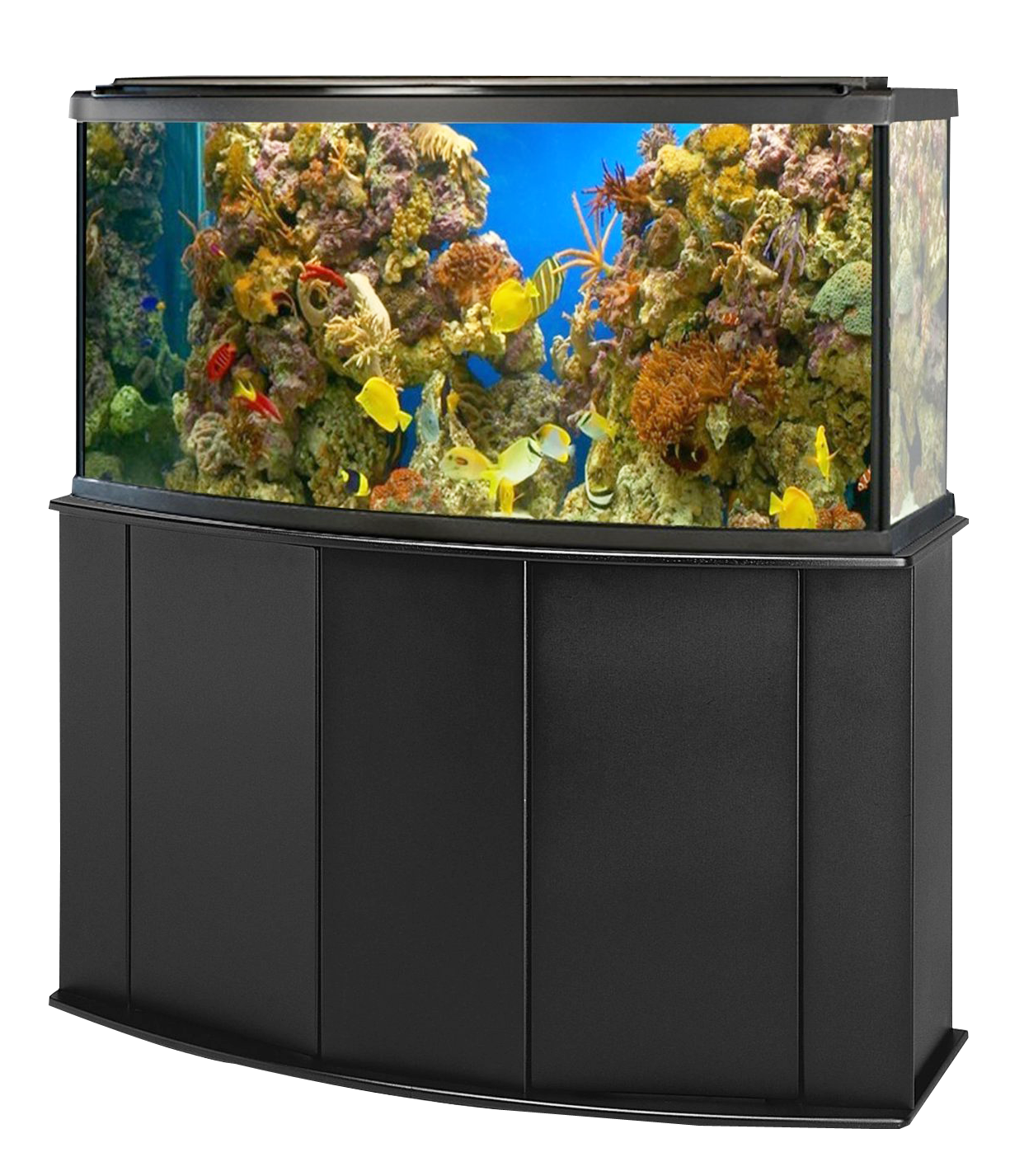 Fish Tank Aquarium Transparent PNG Image