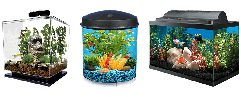 Fish Tank Aquarium Transparent PNG Image