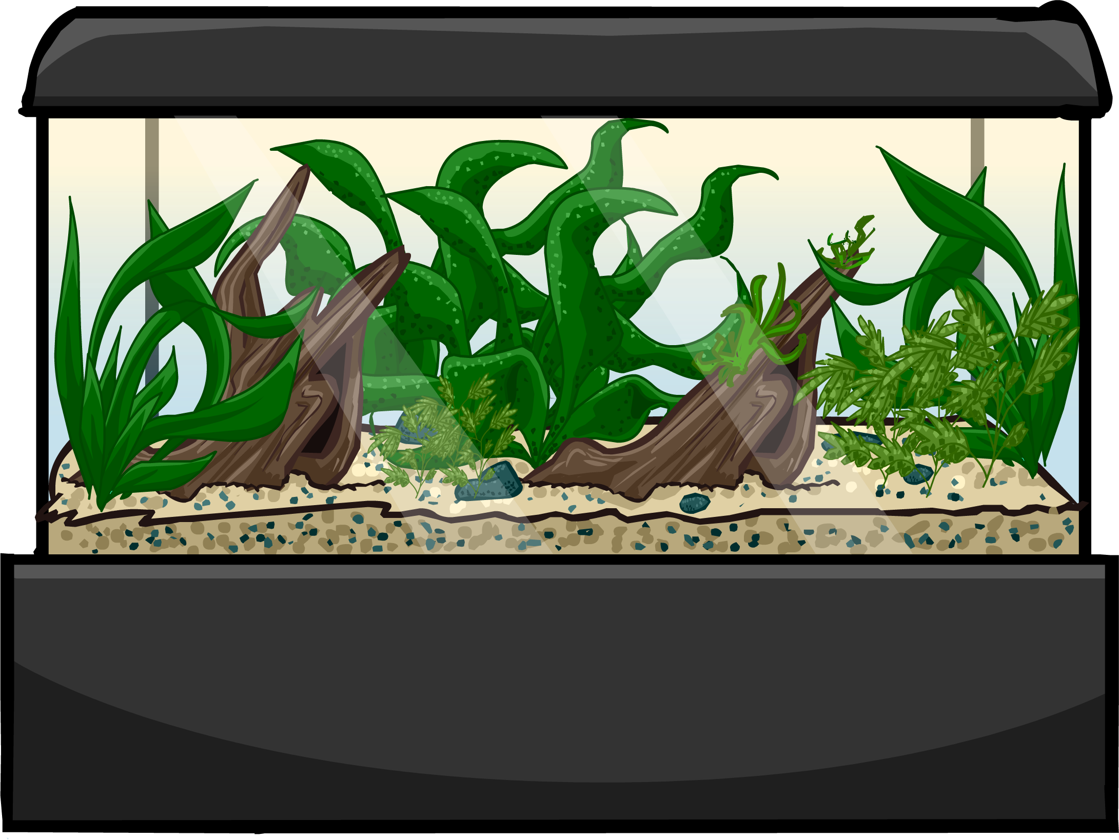 Fish Tank Aquarium Transparent PNG Image