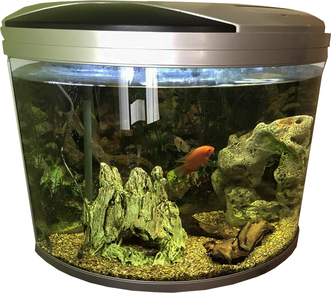 Fish Tank Aquarium Transparent PNG Image