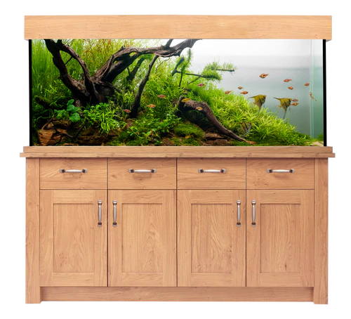 Fish Tank Aquarium Transparent PNG Image