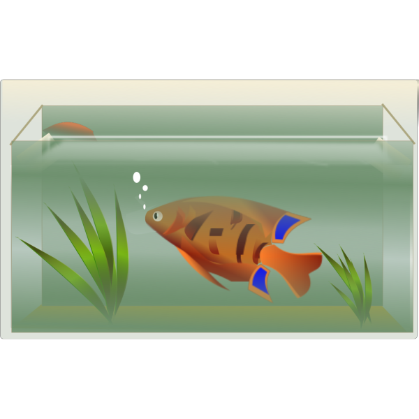 Fish Tank Aquarium Transparent PNG Image