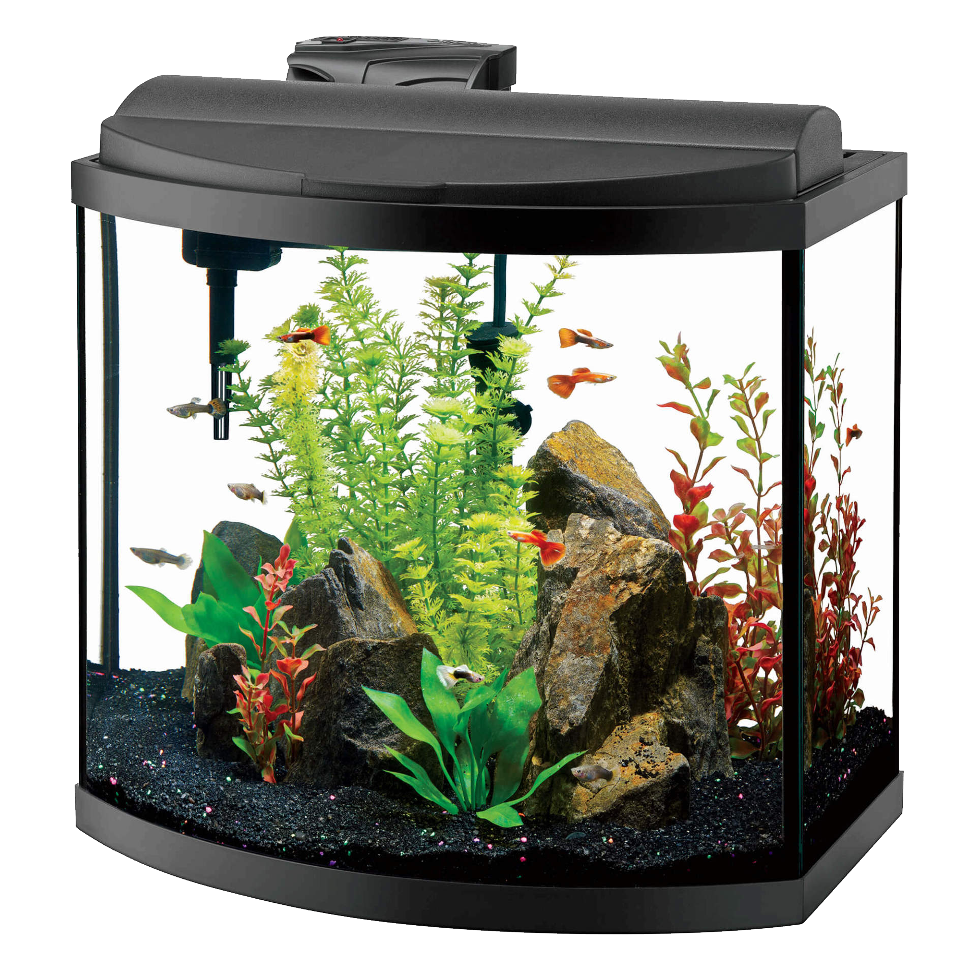 Glass Fish Tank Aquarium Transparent PNG Image