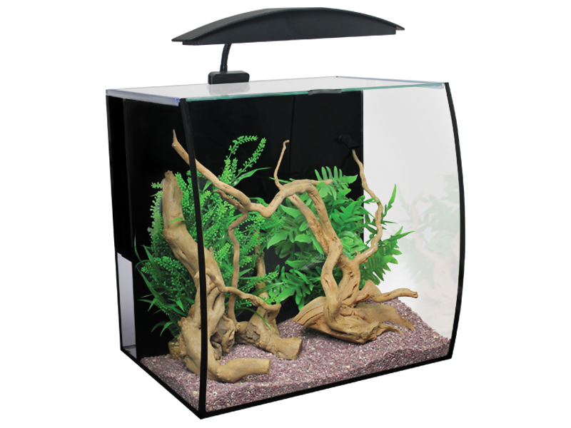 Glass Fish Tank Aquarium Transparent PNG Image