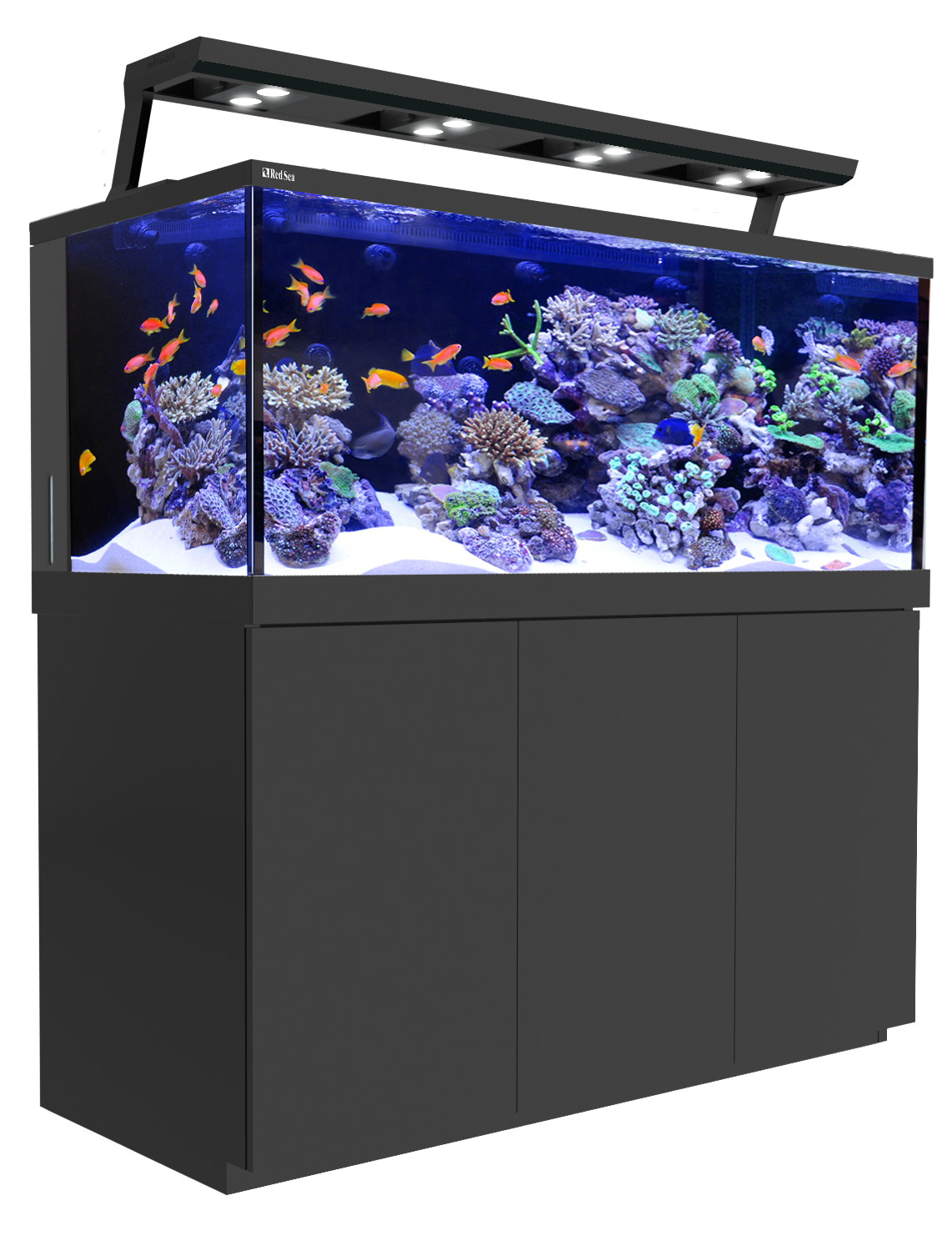 Glass Fish Tank Aquarium Transparent PNG Image