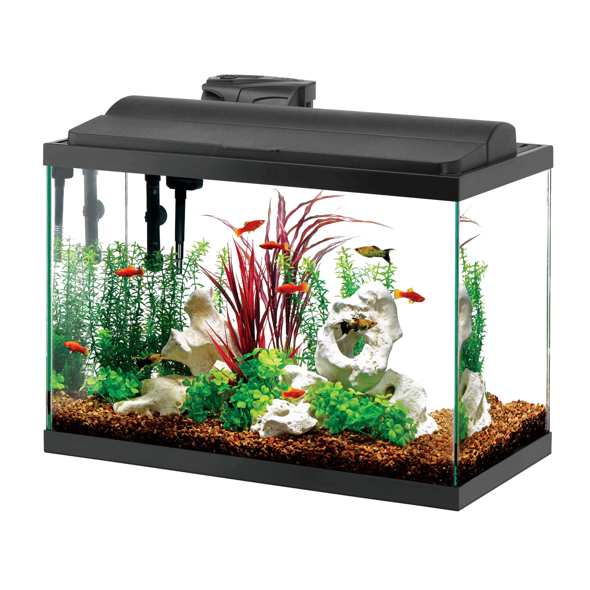 Glass Fish Tank Aquarium Transparent PNG Image