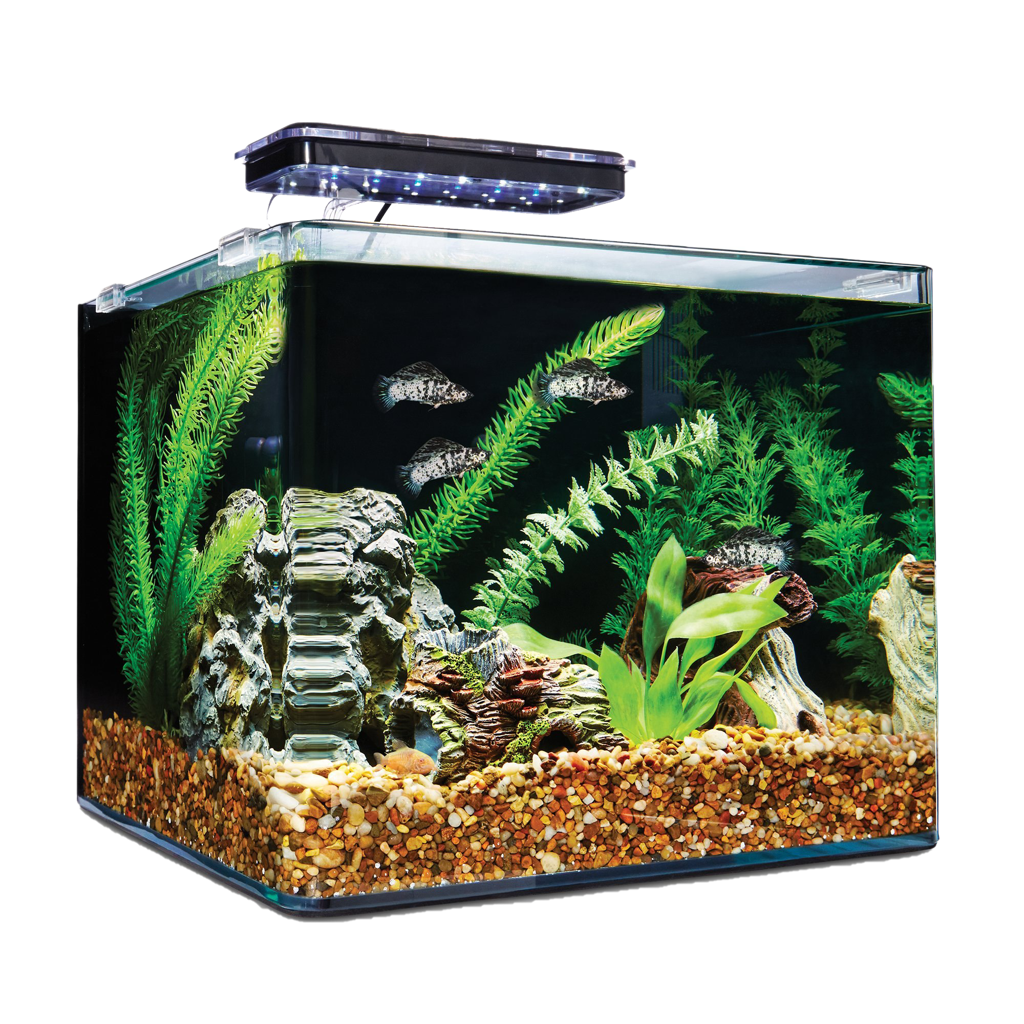 Glass Fish Tank Aquarium Transparent PNG Image
