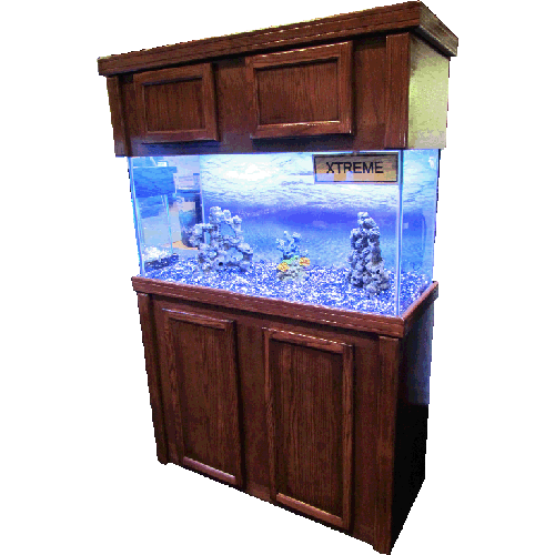 Large Fish Tank Transparent PNG Image