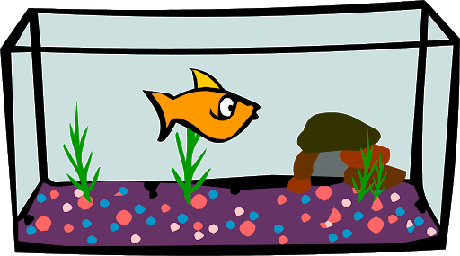 Fish Vector Tank Aquarium Transparent PNG Image