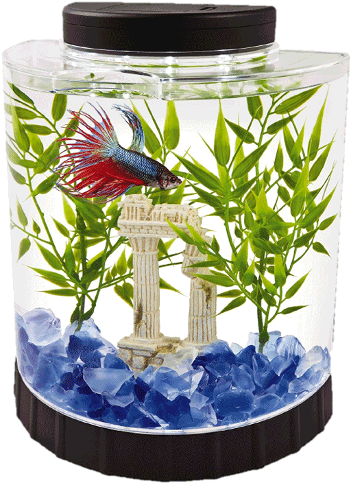 Gallon Fish Tank Transparent PNG Image